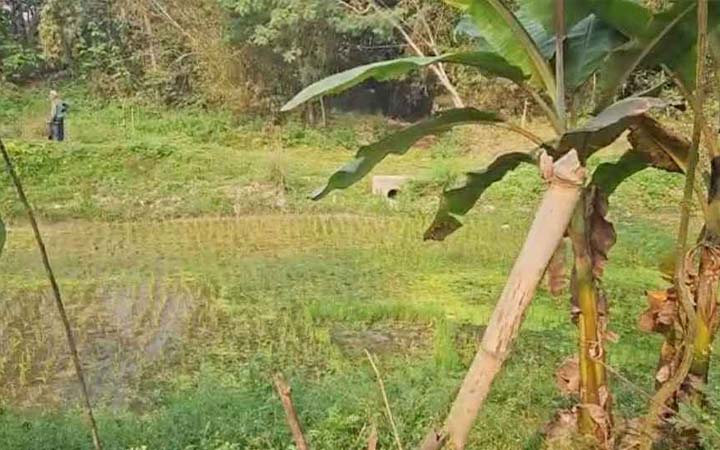ঝিনাইদহে ৩ জনকে গুলি করে হত্যা, এলাকায় আতঙ্ক